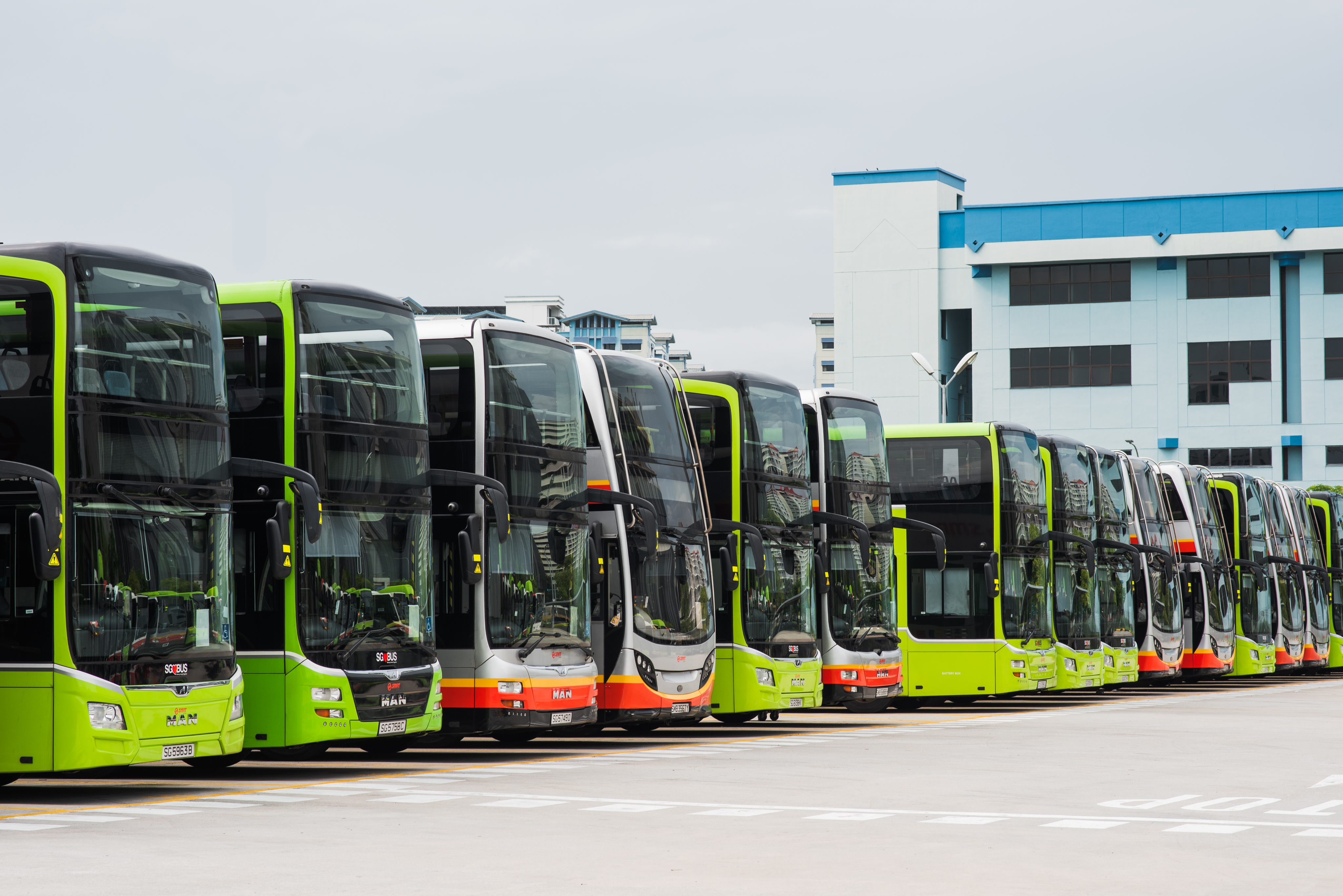 Buses in a Row - 1637951296203747655